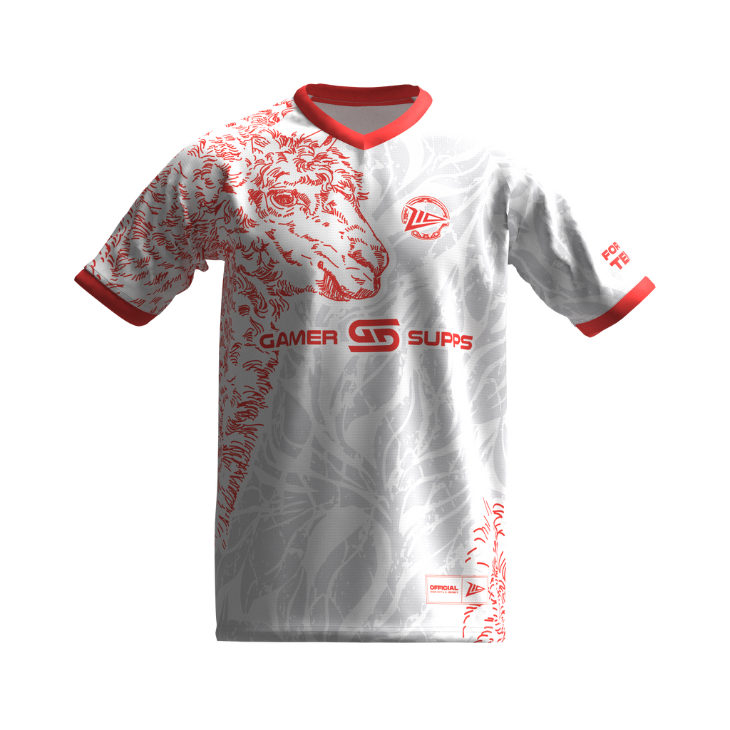 2025 JERSEY Z10 - Dota2