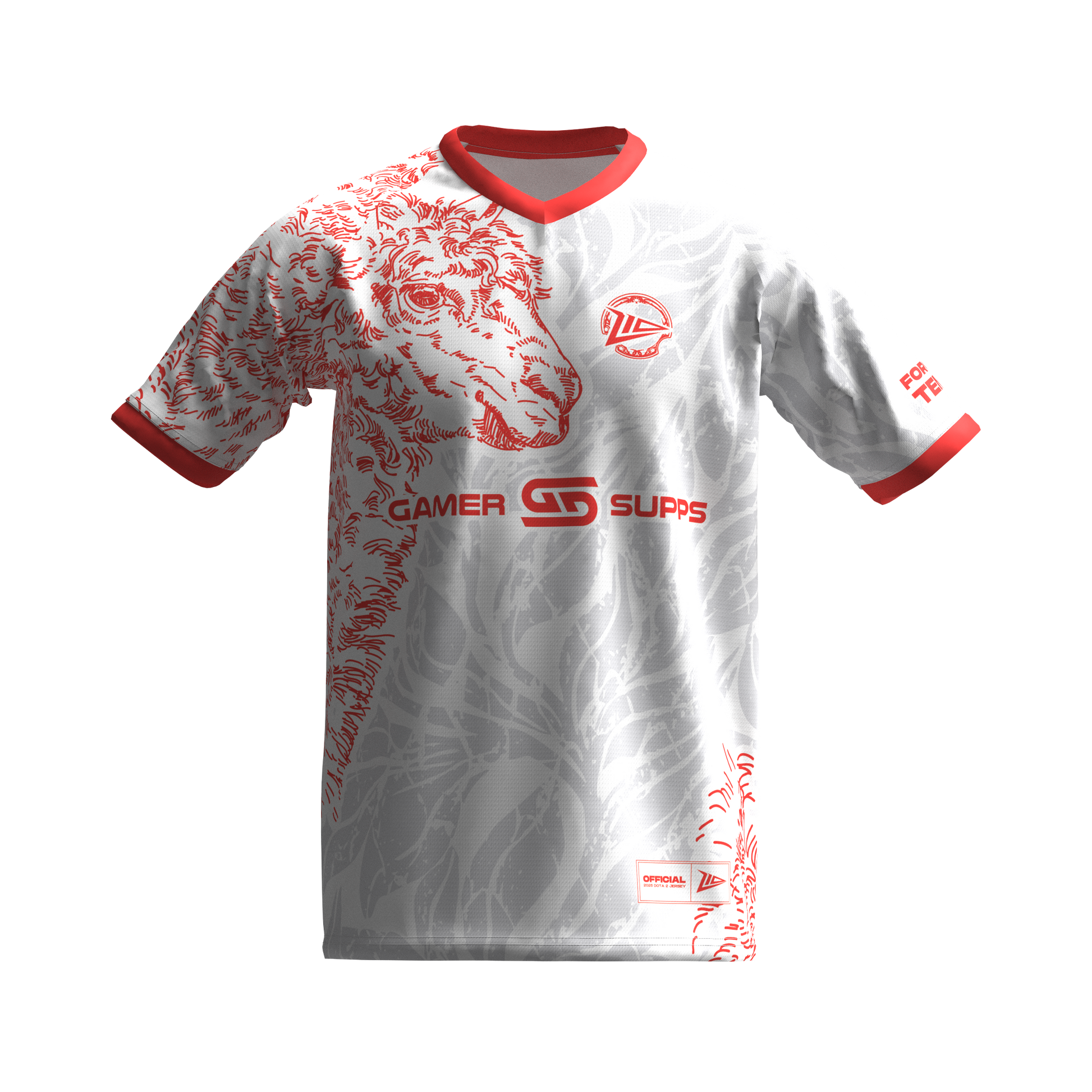 2025 JERSEY Z10 - Dota2