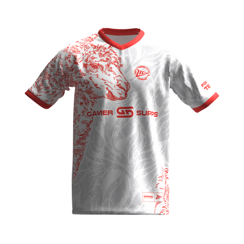 2025 JERSEY Z10 - Dota2