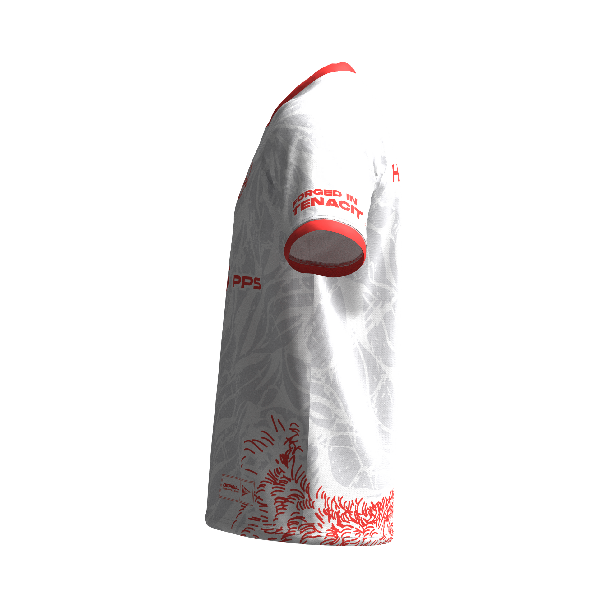 2025 JERSEY Z10 - Dota2